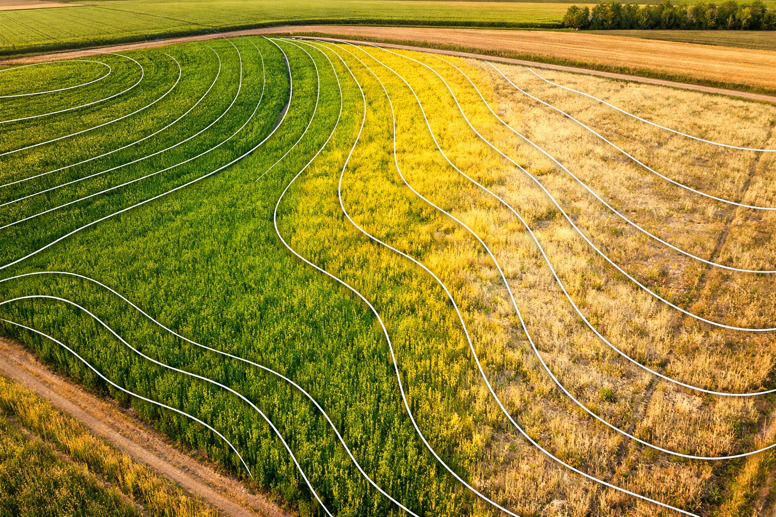 Productivity zone mapping